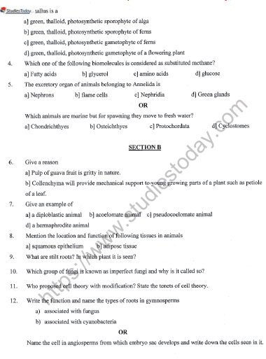 CBSE Class 11 Biology Sample Paper Set E Solved